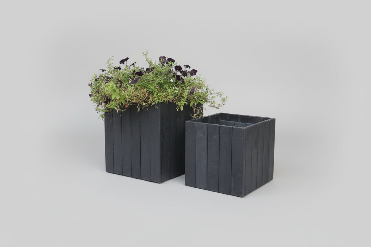 Two black planters with greenery 
