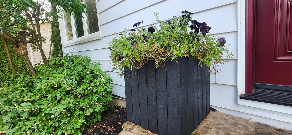 Black planter with greenery in front of a house with a red door